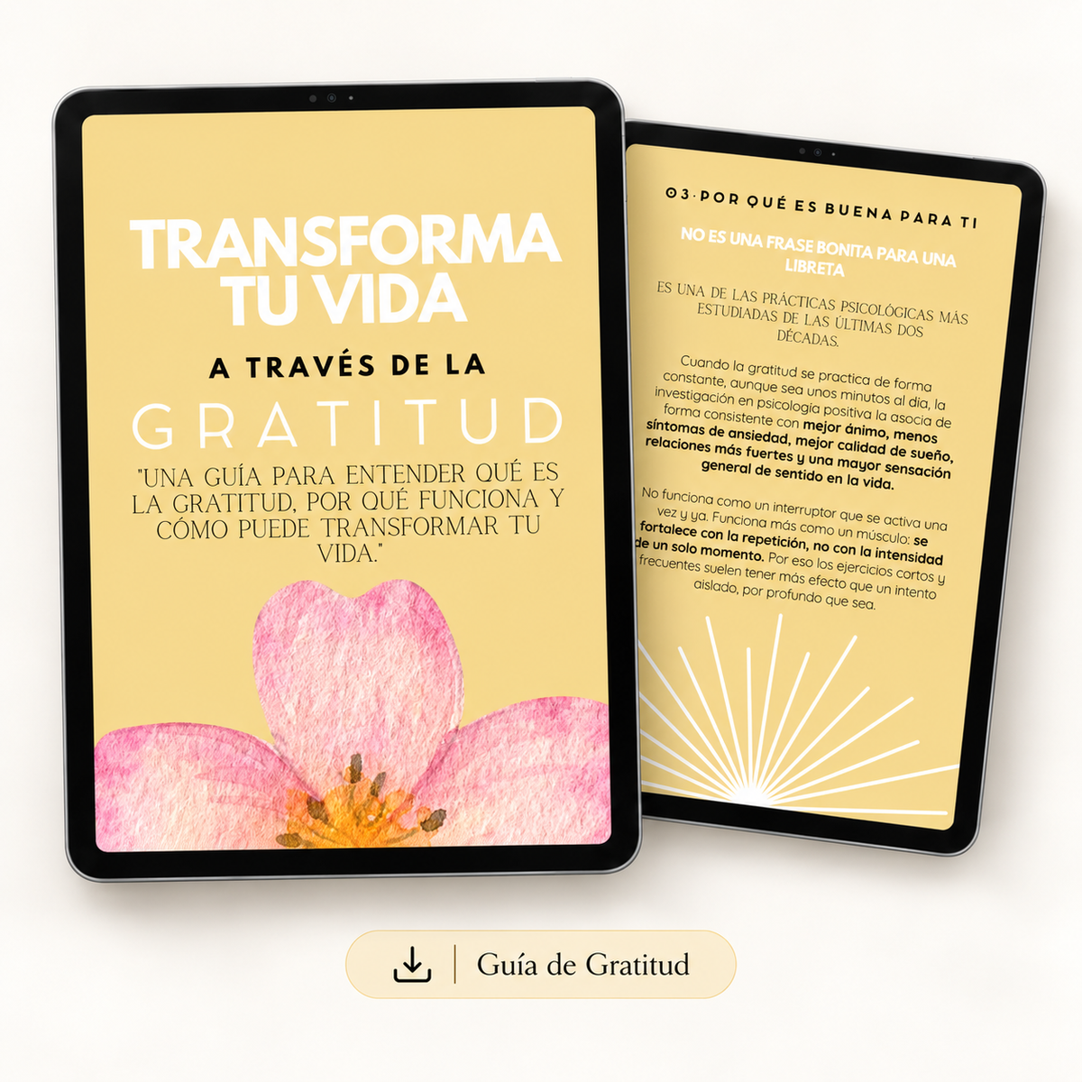 Pack Digital de Gratitud