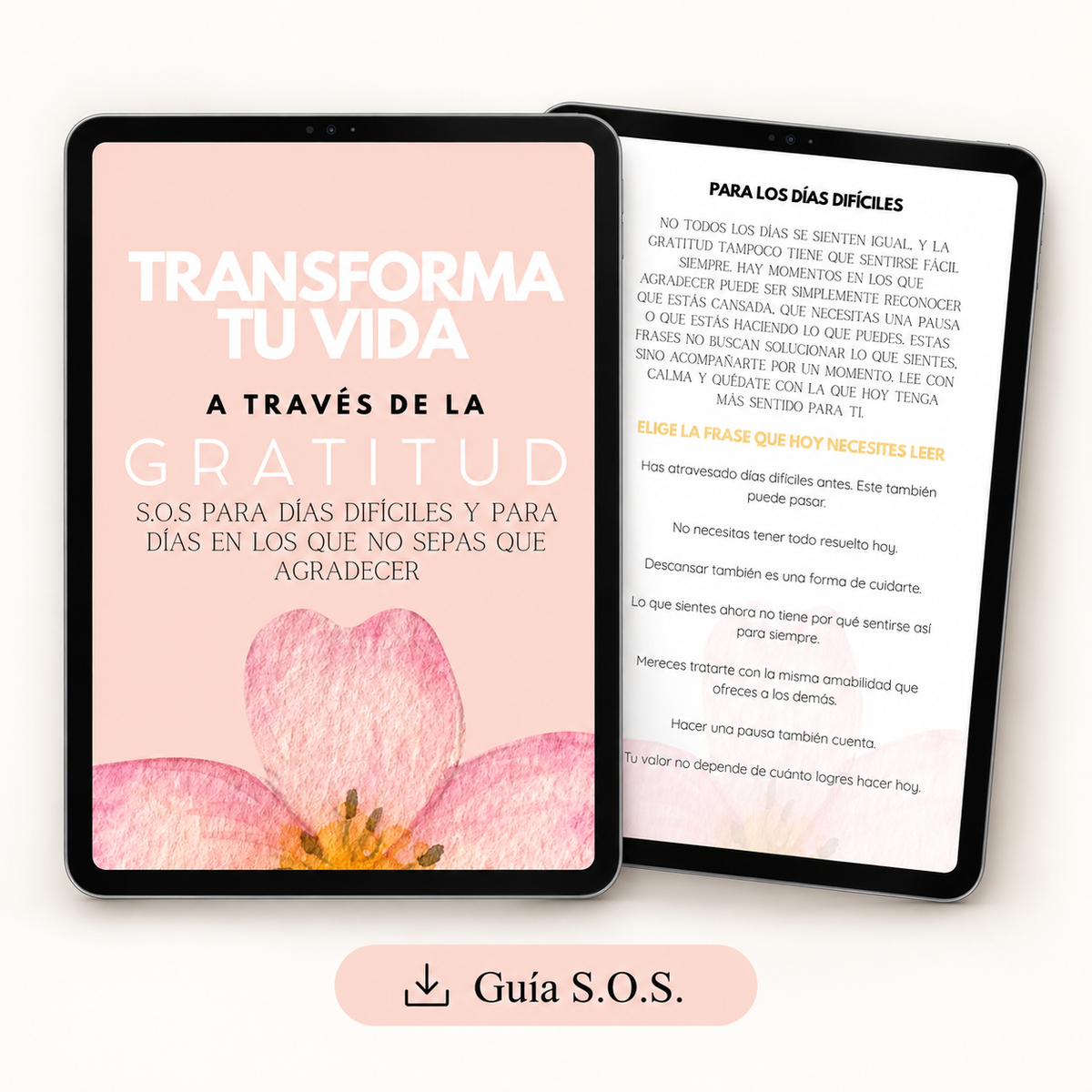 Pack Digital de Gratitud